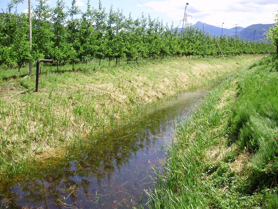 La Valle dell''Adige e l''ululone